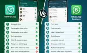 Perbedaan GB WhatsApp vs WhatsApp Business